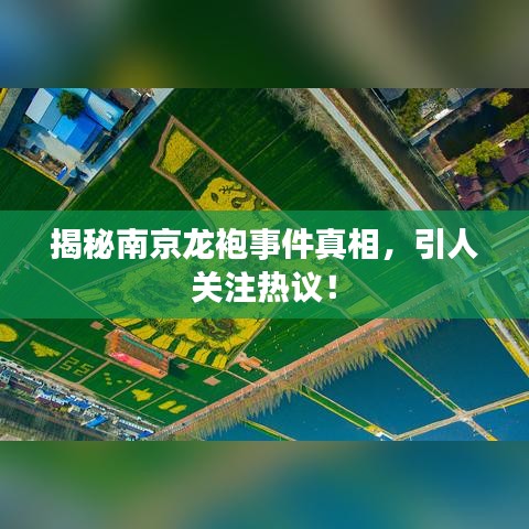 揭秘南京龙袍事件真相，引人关注热议！