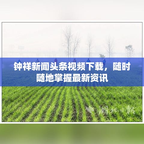 钟祥新闻头条视频下载，随时随地掌握最新资讯