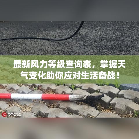 最新风力等级查询表，掌握天气变化助你应对生活备战！