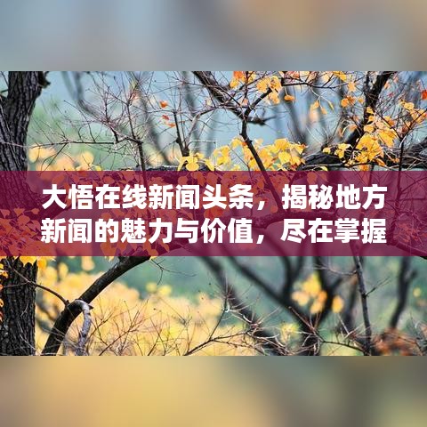 大悟在线新闻头条，揭秘地方新闻的魅力与价值，尽在掌握！