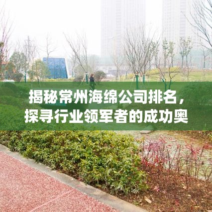 揭秘常州海绵公司排名，探寻行业领军者的成功奥秘！