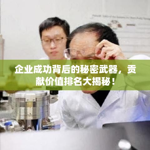 企业成功背后的秘密武器，贡献价值排名大揭秘！