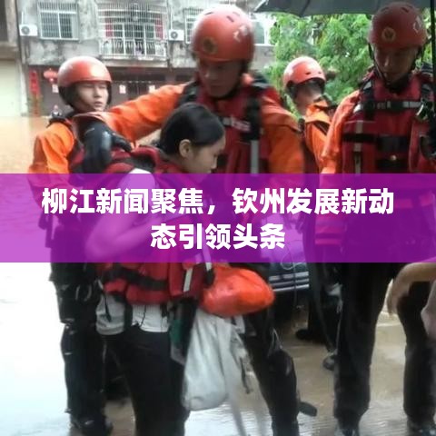 柳江新闻聚焦，钦州发展新动态引领头条