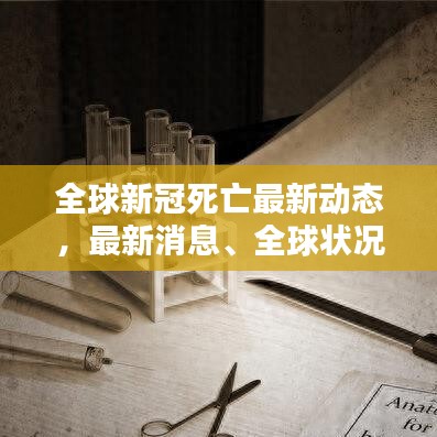 全球新冠死亡最新动态，最新消息、全球状况及应对策略揭秘
