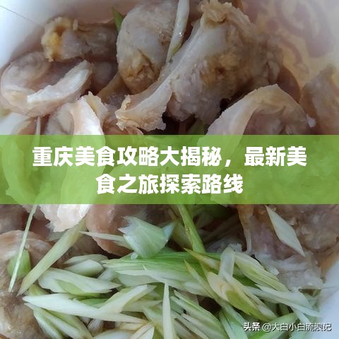 重庆美食攻略大揭秘，最新美食之旅探索路线