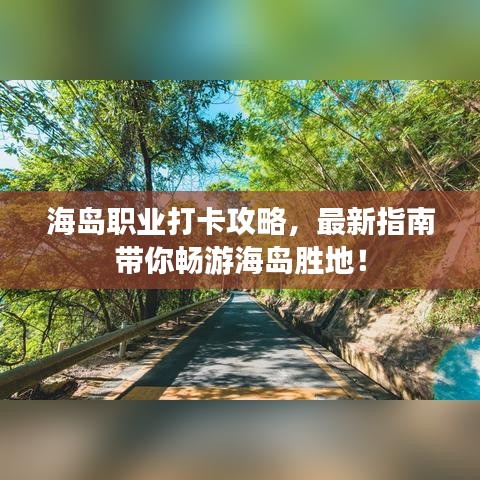 海岛职业打卡攻略，最新指南带你畅游海岛胜地！