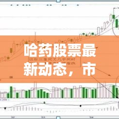 哈药股票最新动态，市场走势及前景展望一网打尽！