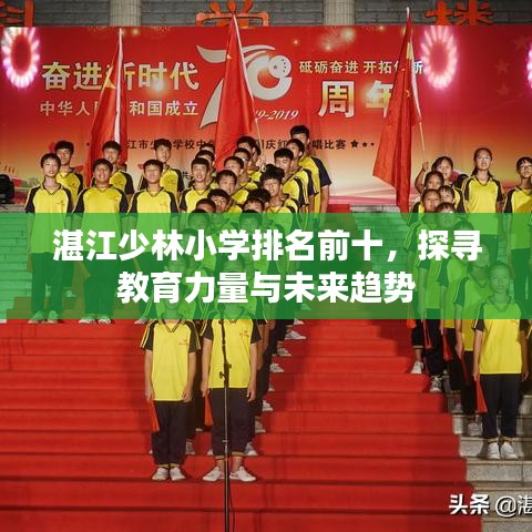 湛江少林小学排名前十，探寻教育力量与未来趋势