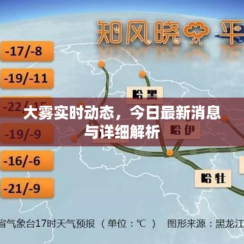 大雾实时动态，今日最新消息与详细解析