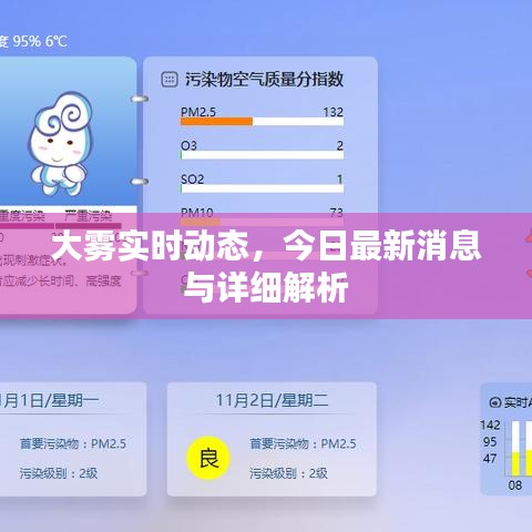 大雾实时动态,今日最新消息与详细解析