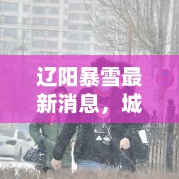 辽阳暴雪最新消息，城市应对与影响深度解析