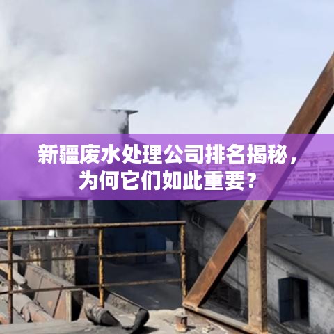新疆废水处理公司排名揭秘,为何它们如此重要?