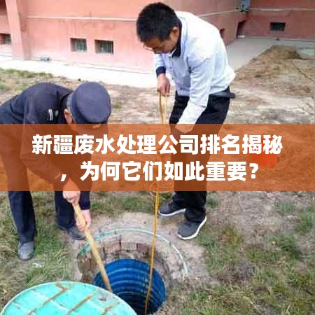 新疆废水处理公司排名揭秘,为何它们如此重要?