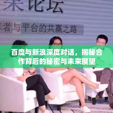 百度与新浪深度对话，揭秘合作背后的秘密与未来展望