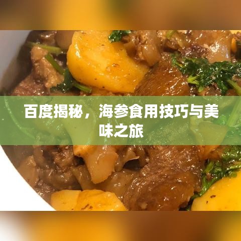 百度揭秘，海参食用技巧与美味之旅