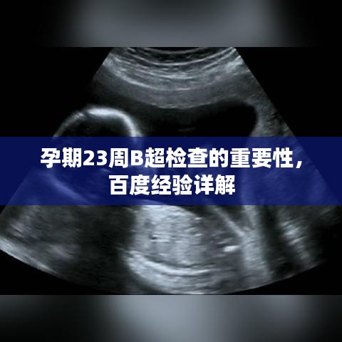 孕期23周B超检查的重要性，百度经验详解