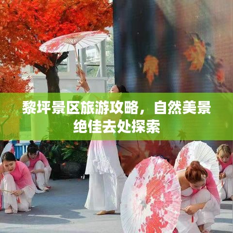 黎坪景区旅游攻略，自然美景绝佳去处探索