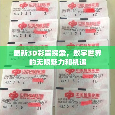 最新3D彩票探索，数字世界的无限魅力和机遇