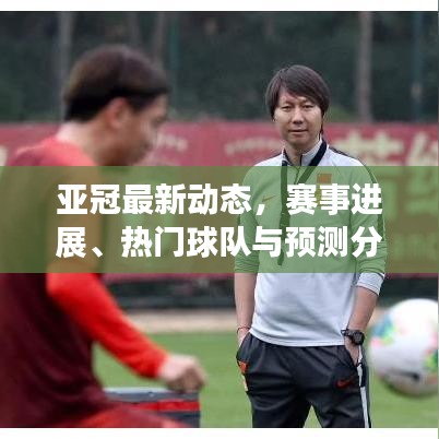 亚冠最新动态，赛事进展、热门球队与预测分析全解析