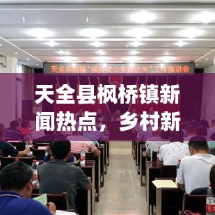天全县枫桥镇新闻热点，乡村新貌展现，热点事件聚焦