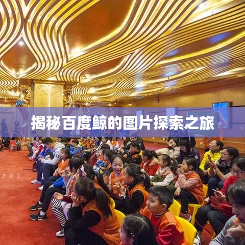 揭秘百度鲸的图片探索之旅