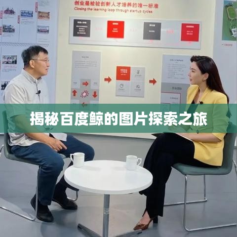 揭秘百度鲸的图片探索之旅