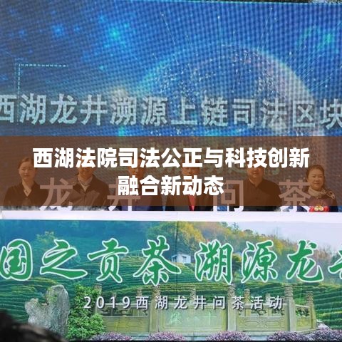 西湖法院司法公正与科技创新融合新动态