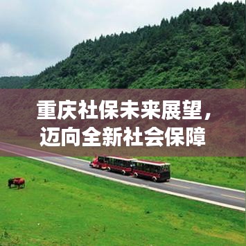 重庆社保未来展望，迈向全新社会保障体系，2024年更新动态揭秘！