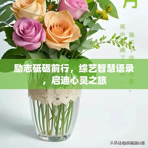 励志砥砺前行，综艺智慧语录，启迪心灵之旅