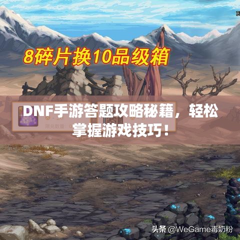 DNF手游答题攻略秘籍，轻松掌握游戏技巧！