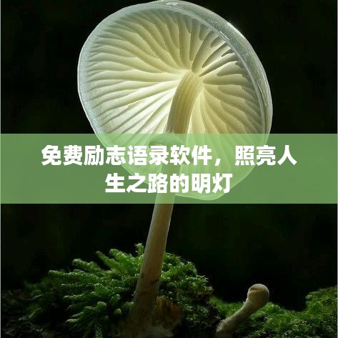 免费励志语录软件，照亮人生之路的明灯