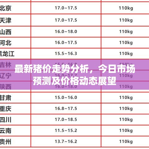 最新猪价走势分析，今日市场预测及价格动态展望