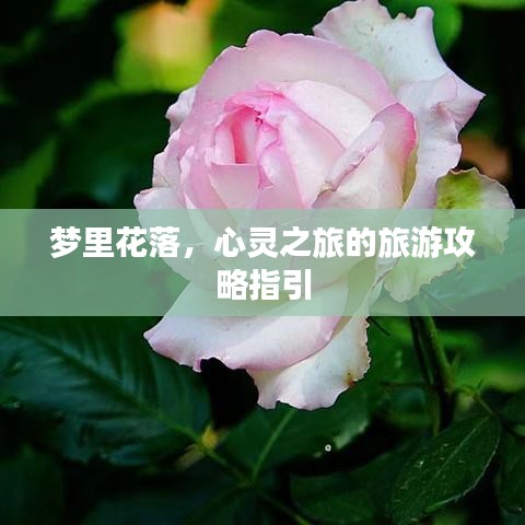 梦里花落,心灵之旅的旅游攻略指引