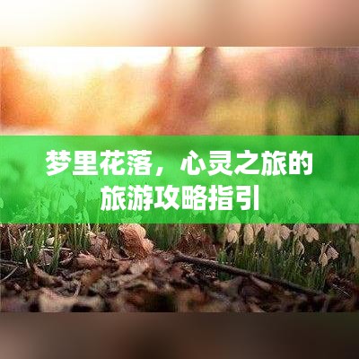 梦里花落,心灵之旅的旅游攻略指引