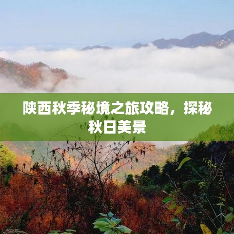 陕西秋季秘境之旅攻略，探秘秋日美景