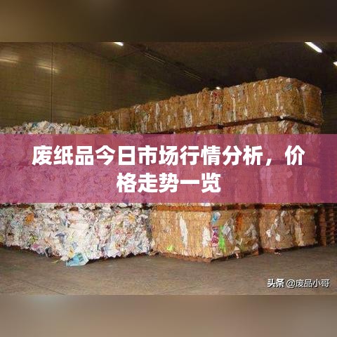 废纸品今日市场行情分析，价格走势一览