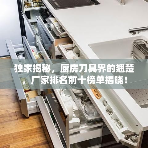 独家揭秘,厨房刀具界的翘楚,厂家排名前十榜单揭晓!
