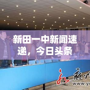 新田一中新闻速递，今日头条报道聚焦校园动态