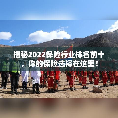 揭秘2022保险行业排名前十，你的保障选择在这里！