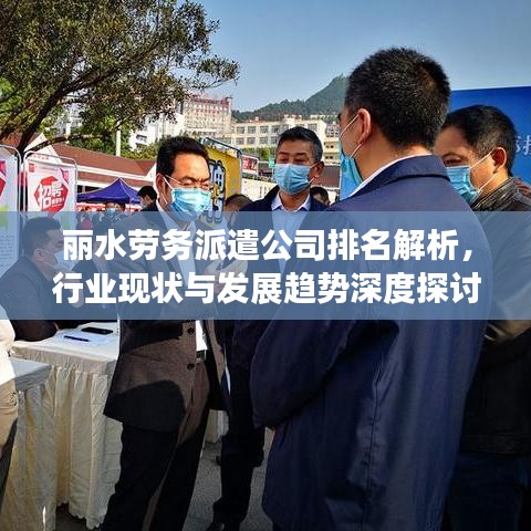 丽水劳务派遣公司排名解析，行业现状与发展趋势深度探讨