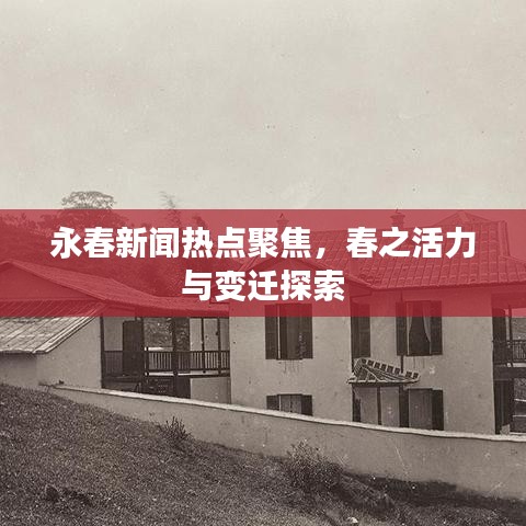 永春新闻热点聚焦，春之活力与变迁探索