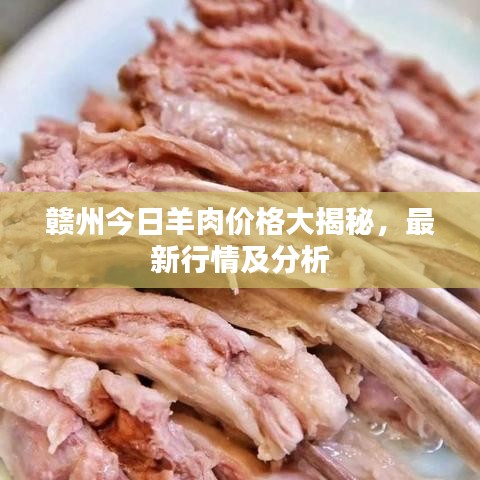 赣州今日羊肉价格大揭秘，最新行情及分析