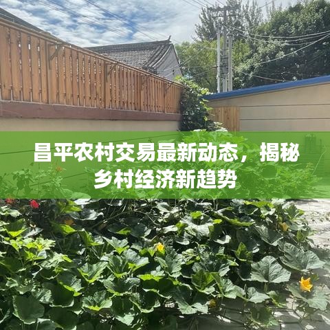 昌平农村交易最新动态，揭秘乡村经济新趋势