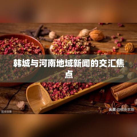 韩城与河南地域新闻的交汇焦点