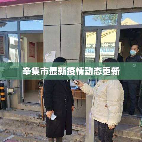 辛集市最新疫情动态更新