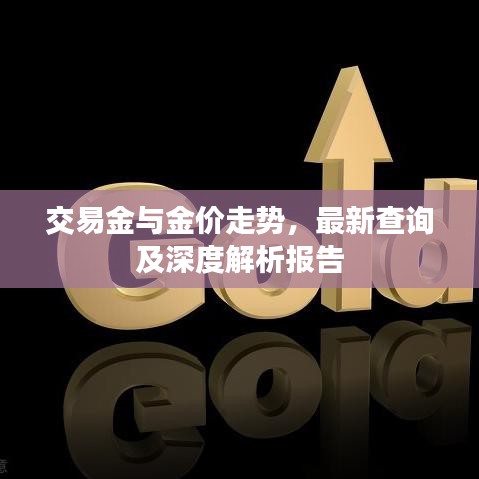 交易金与金价走势,最新查询及深度解析报告