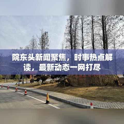 院东头新闻聚焦，时事热点解读，最新动态一网打尽
