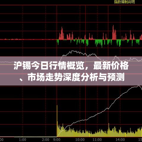 沪锡今日行情概览，最新价格、市场走势深度分析与预测