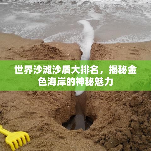世界沙滩沙质大排名，揭秘金色海岸的神秘魅力