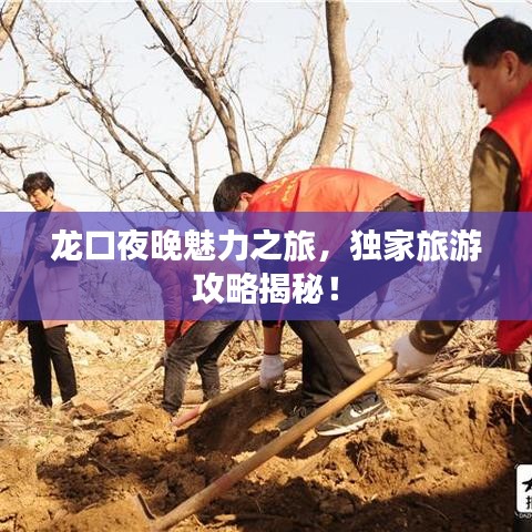 龙口夜晚魅力之旅，独家旅游攻略揭秘！
